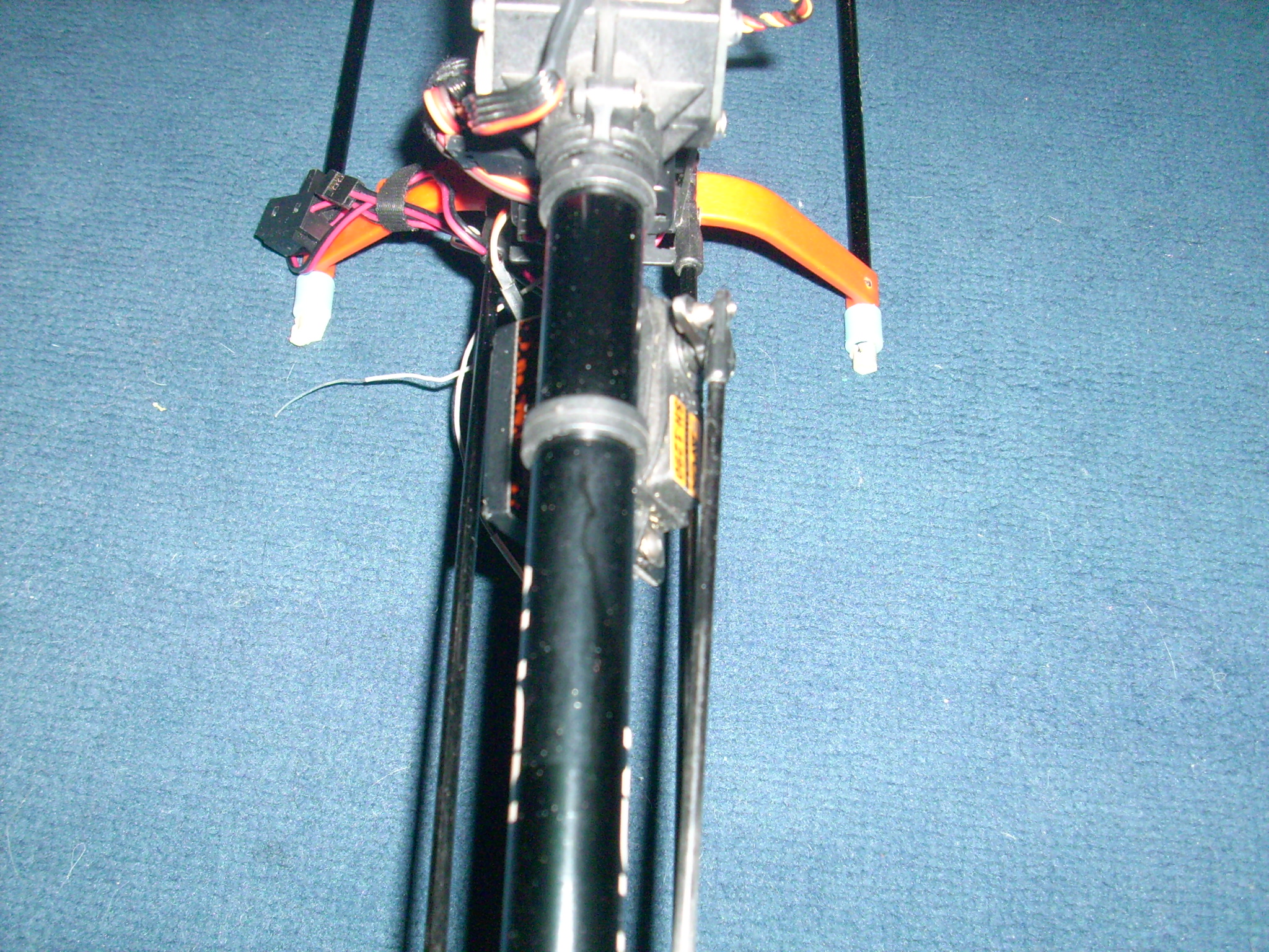 DSCI0095.JPG